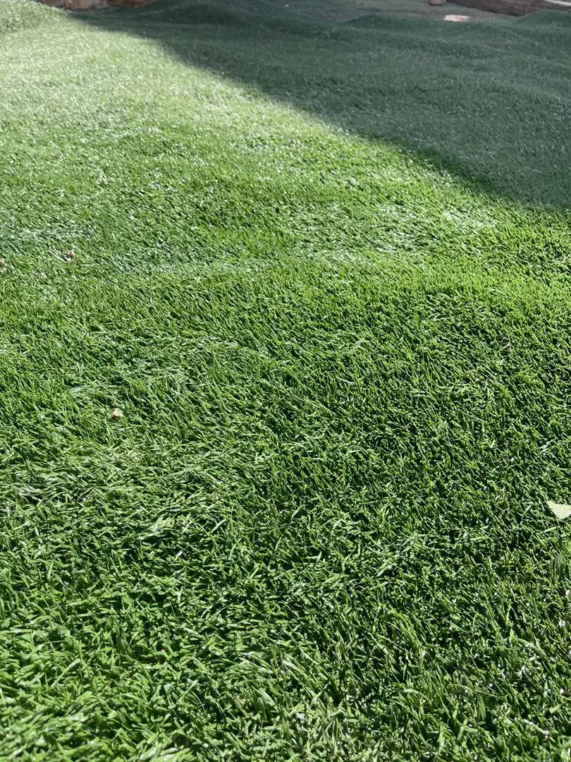 چمن کارکرده|گل مصنوعی|ری, سیزده آبان|دیوار