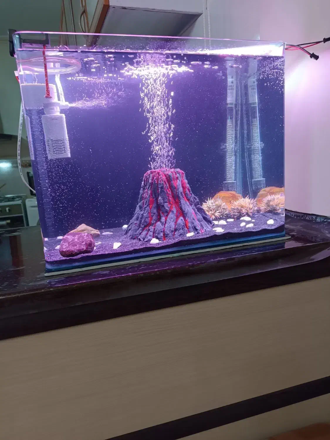 آکواریوم شیشه خم|ماهی|سراب, |دیوار