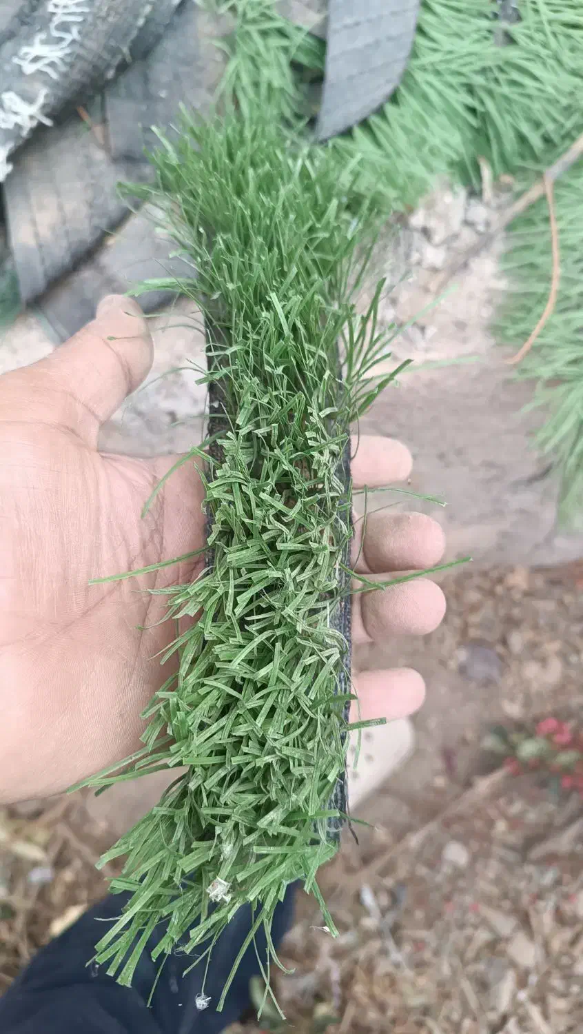 چمن مصنوعی|مصالح و تجهیزات ساختمان|مود, |دیوار