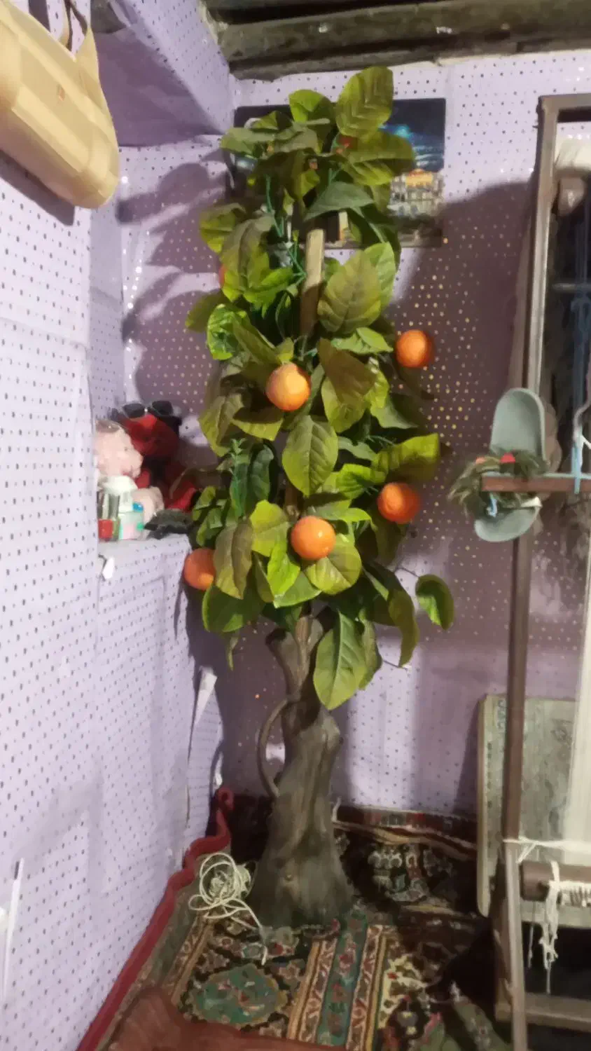 درخت|گل و گیاه طبیعی|شیراز, لب آب|دیوار