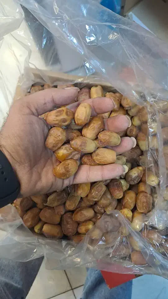 حراج خرما زاهدی و خاصویی۱|خوردنی و آشامیدنی|قم, انسجام|دیوار