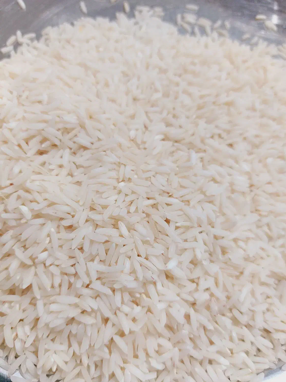 فروش برنج|خوردنی و آشامیدنی|کوچصفهان, |دیوار