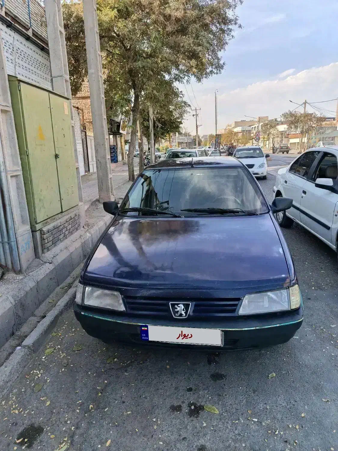 آردی آی سالم آماده مصرف|خودرو سواری و وانت|تربتحیدریه, باغ سلطانی|دیوار