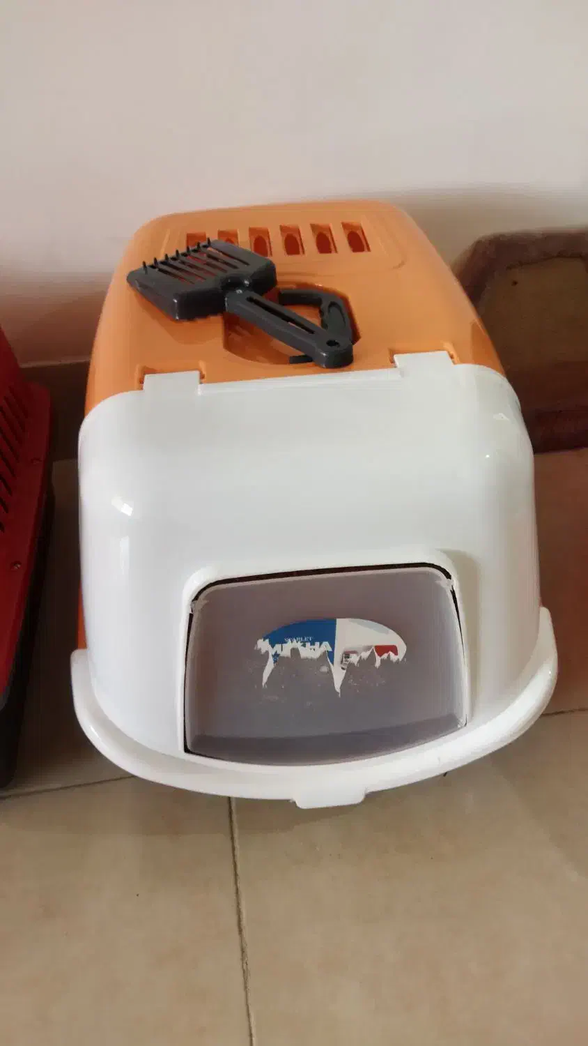 گربه|لوازم جانبی حیوانات|شیراز, شهرک بزین|دیوار