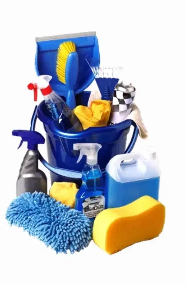 نظافت در منزل|خدمات نظافت|رشت, کاکتوس|دیوار