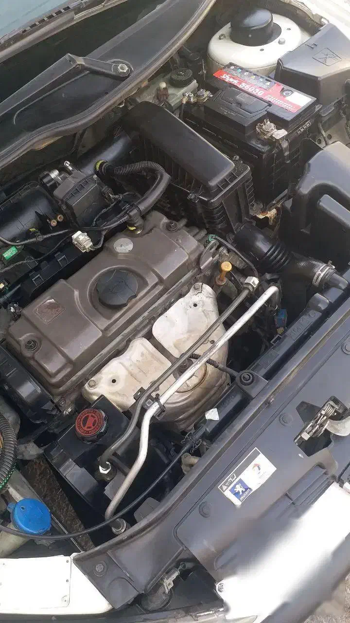 پژو 206 بدون رنگ / شاسیها پلمپ/ کم کارکرد|خودرو سواری و وانت|آذرشهر, |دیوار