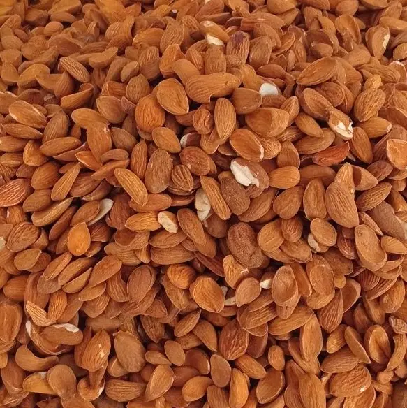 مغز بادام ایرانی محلی|خوردنی و آشامیدنی|تهران, فلاح|دیوار