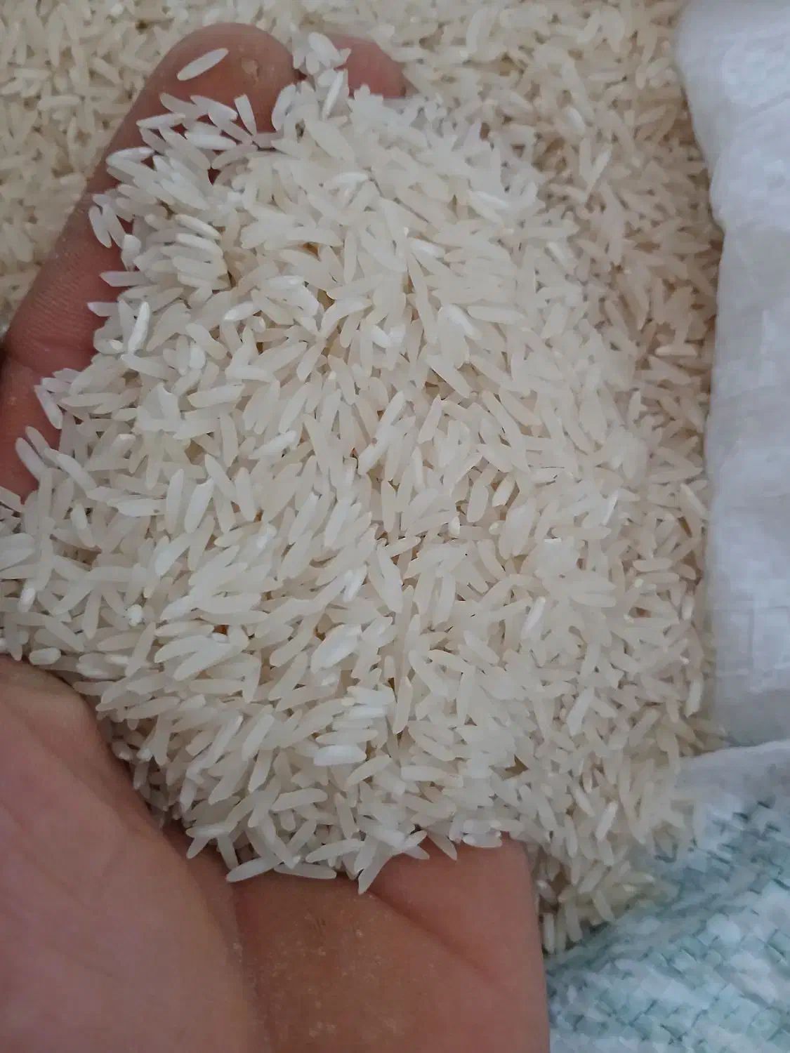 برنج ایرانی|خوردنی و آشامیدنی|تهران, شوش (باغ آذری)|دیوار