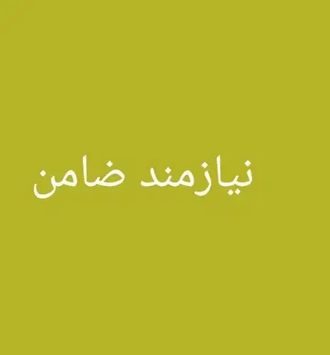 نیازمند ضامن|خدمات مالی، حسابداری، بیمه|اهواز, کوی علوی|دیوار