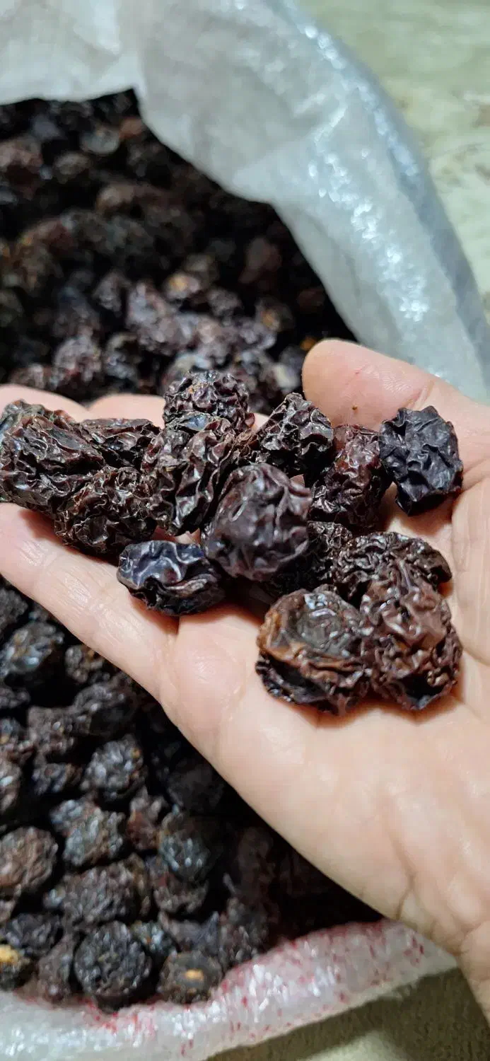 آلو خشک|خوردنی و آشامیدنی|فولادشهر, B5|دیوار