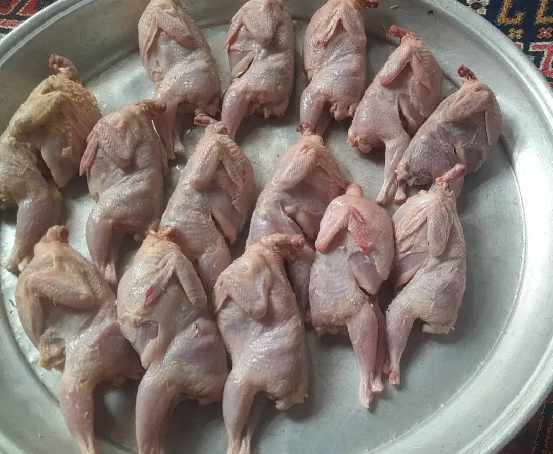 فروش  بلدرچین کشتار شده و تخم گذار ۶۰تومان|حیوانات مزرعه|اطاقور, |دیوار