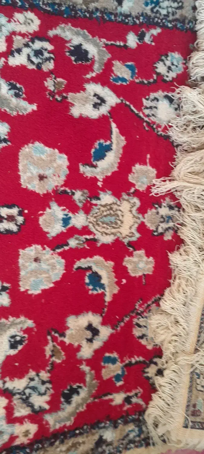 فروش قالیچه دستی|فرش|مشهد, نکاح|دیوار