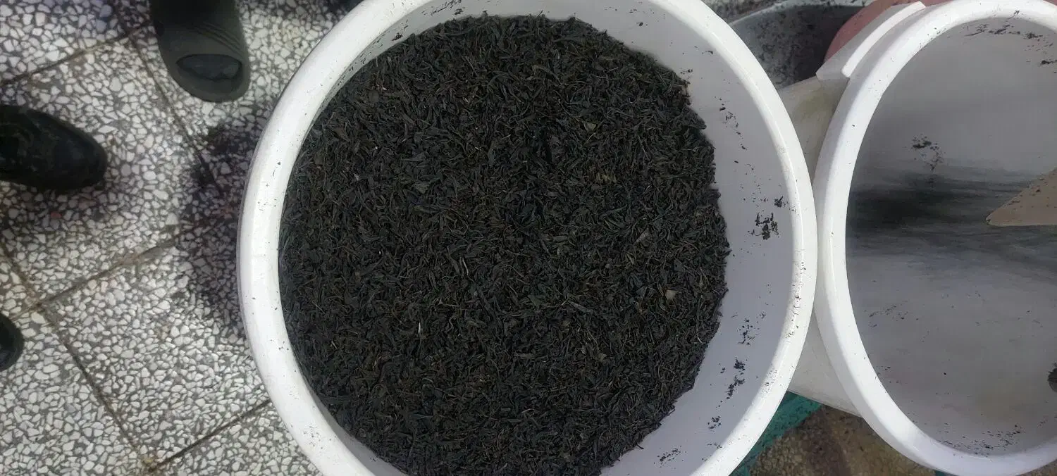 فروش انواع چایی|عمده‌فروشی|لاهیجان, لیالستان|دیوار