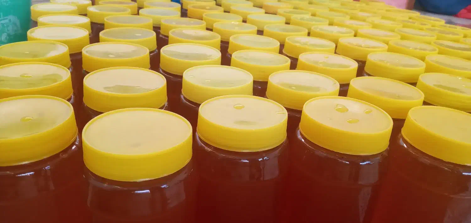 عسل، سرکه سیب|خوردنی و آشامیدنی|فیروزه, |دیوار