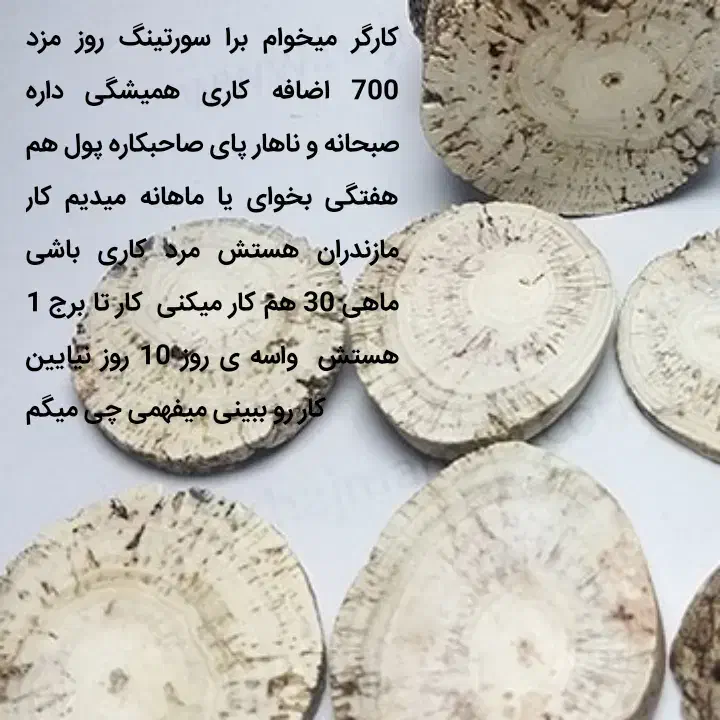 نگین انگشتر|جواهرات|زابل, |دیوار