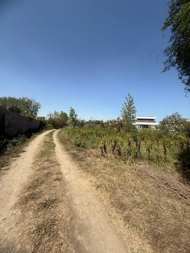 فروش زمین ۷۰۴ متری در پیله داربن در جاده پیربازار|فروش زمین و ملک کلنگی|رشت, پیله داربن|دیوار