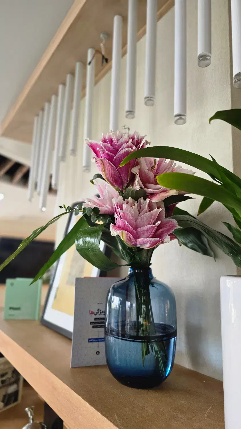 اشپز|استخدام خدمات فروشگاه و رستوران|شیراز, شهرک پرواز|دیوار