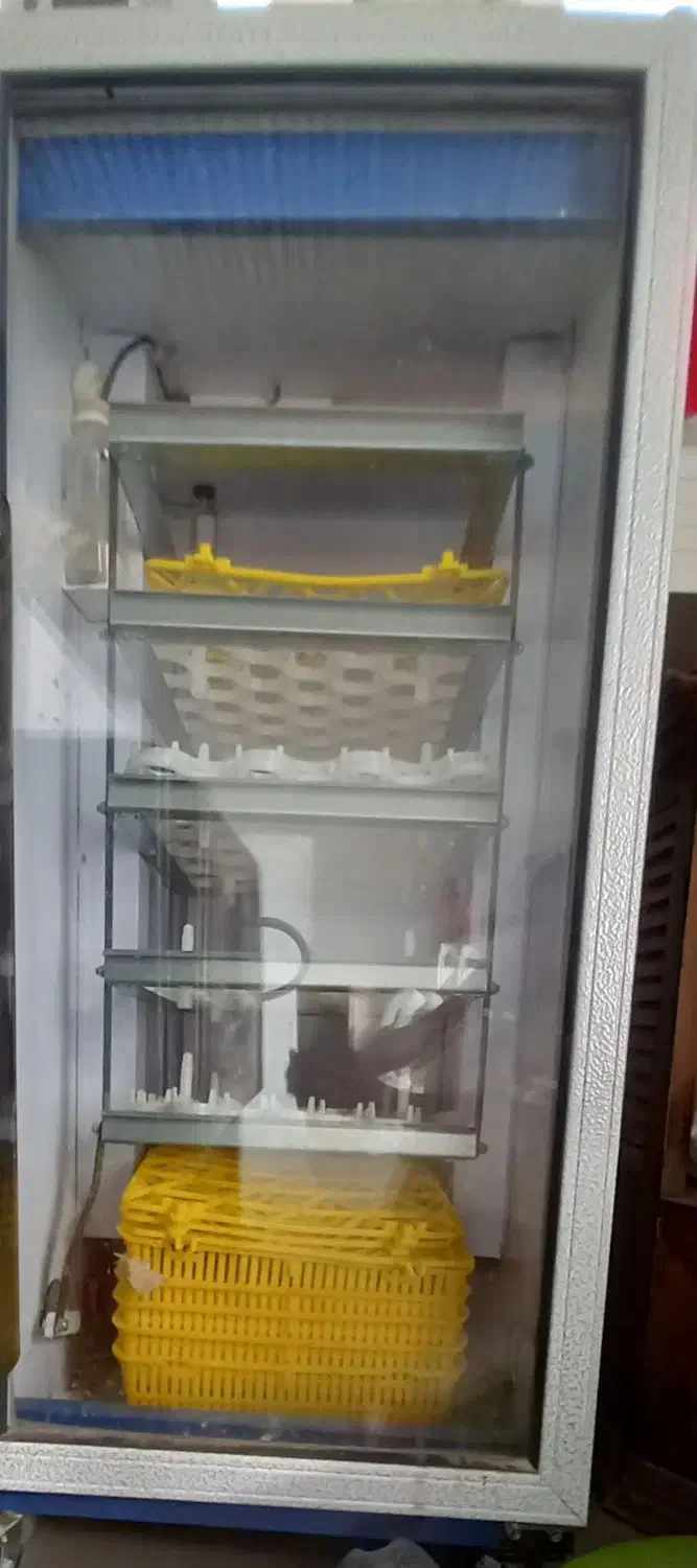 دستگاه جوجه کشی ۲۱۰تایی|لوازم جانبی حیوانات|گنبد کاووس, |دیوار