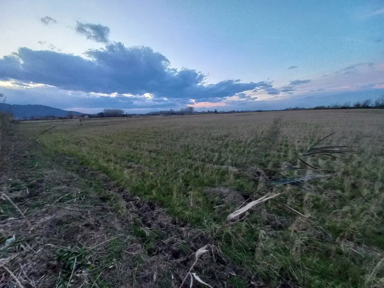 زمین زراعی مزرعه|فروش دفتر صنعتی، کشاورزی، تجاری|لنگرود, |دیوار