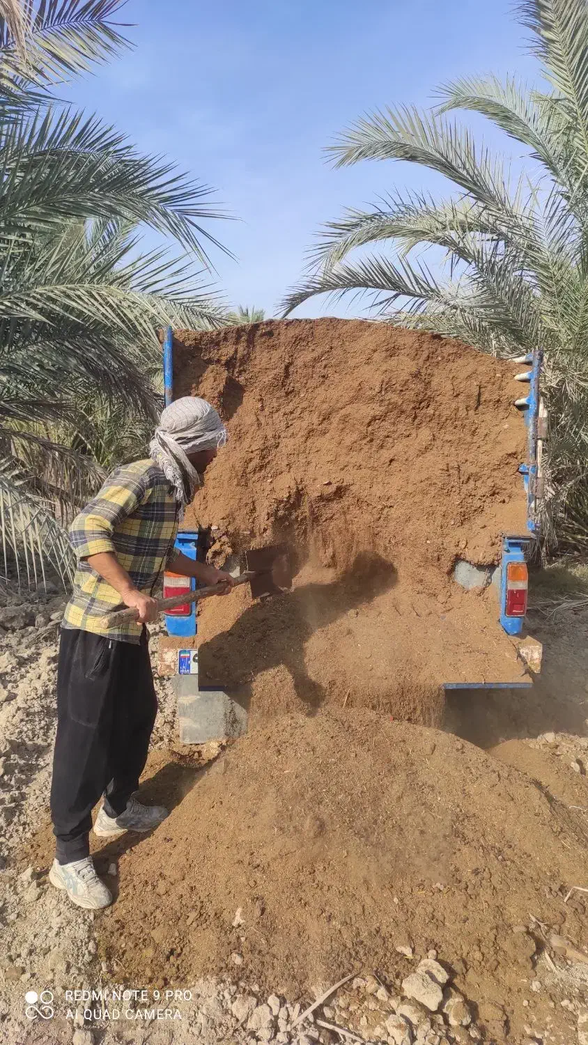 کود حیوانی تحویل آبپخش و حومه|خدمات باغبانی و درختکاری|آبپخش, |دیوار