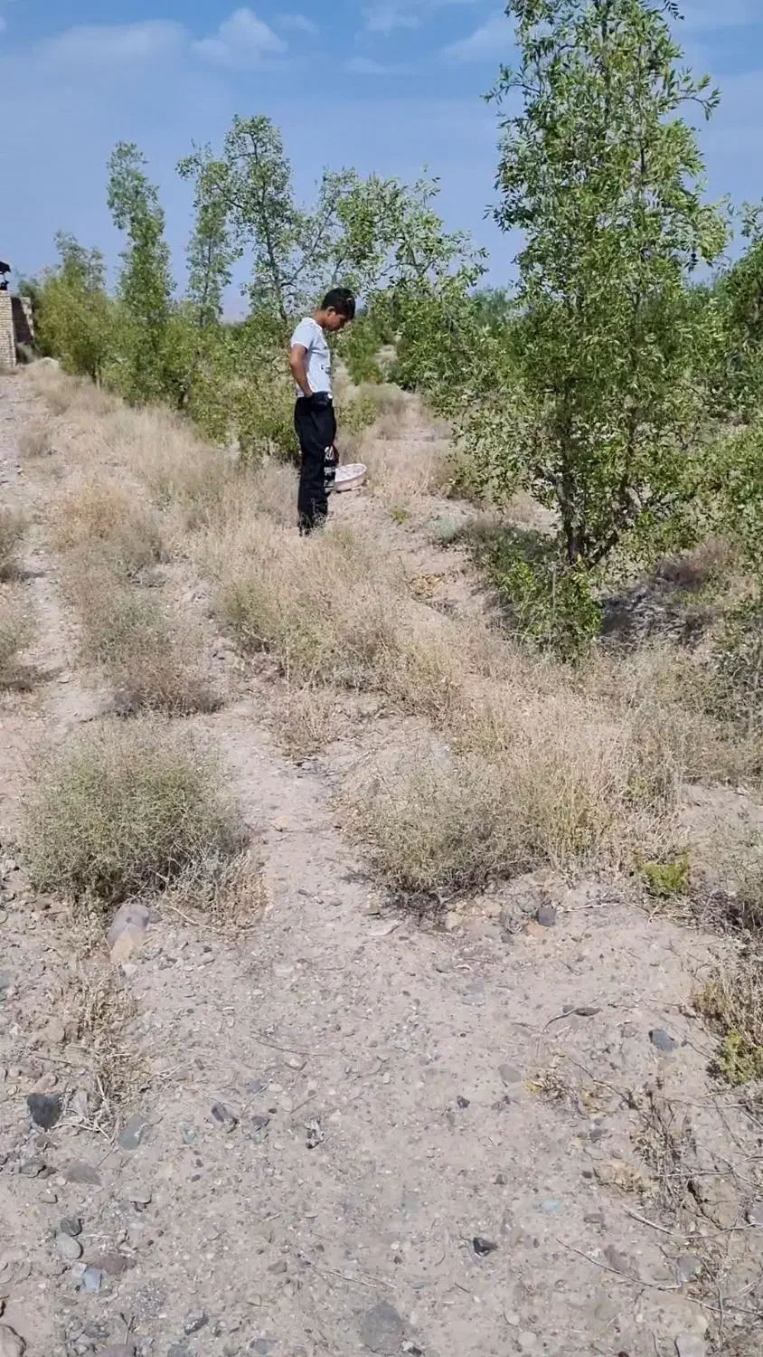 فروش زمین باغی تقاب|فروش دفتر صنعتی، کشاورزی، تجاری|خوسف, |دیوار