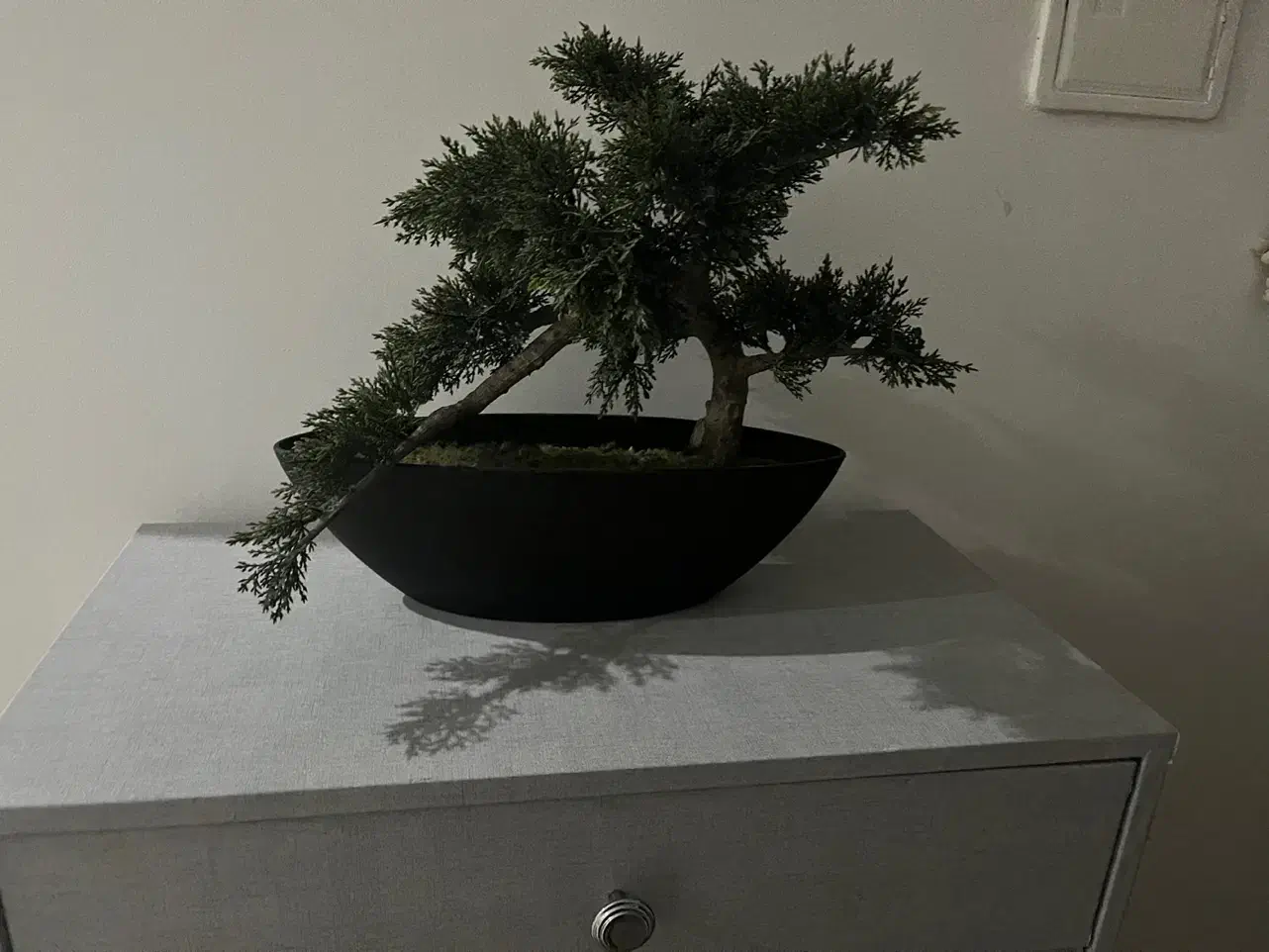 بن سای مصنوعی|گل مصنوعی|اندیشه, اندیشه فاز ۱|دیوار