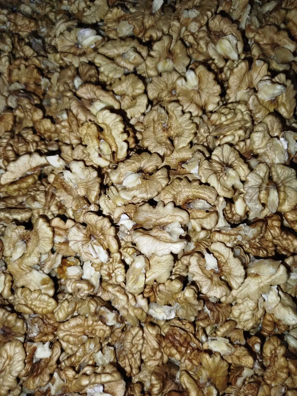 گردو|خوردنی و آشامیدنی|مشگین شهر, |دیوار