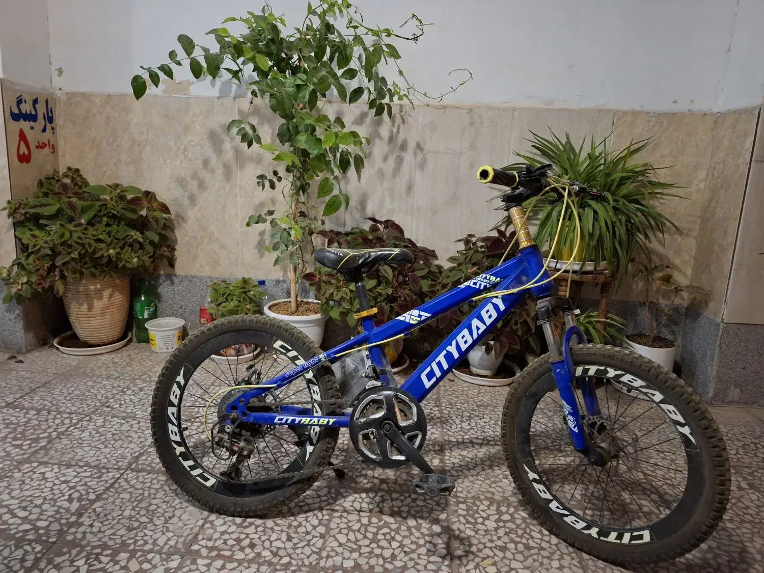 دوچرخه حرفه ای|دوچرخه، اسکیت، اسکوتر|شاهینشهر, طالقانی|دیوار