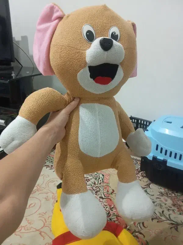 عروسک|اسباب‌‌بازی|بندر انزلی, مسکن مهر|دیوار