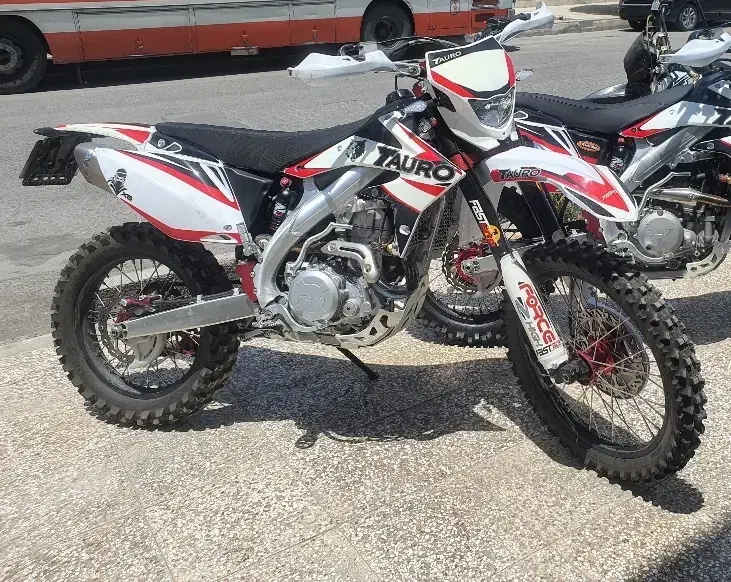 تارو طلائی (سفارشی)|موتورسیکلت|مشهد, الهیه|دیوار