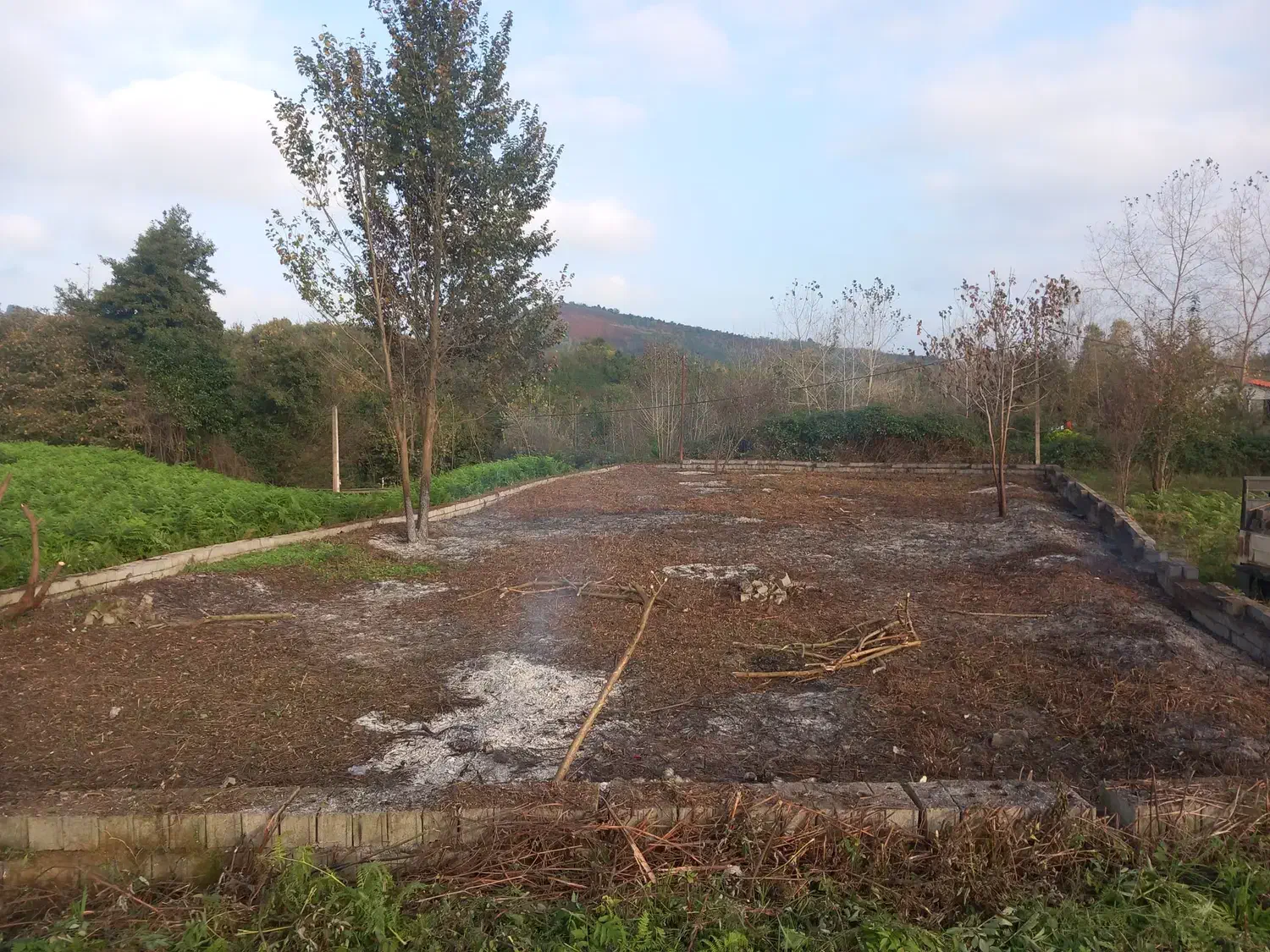 زمین با موقعیت عالی مناسب برای باغ یا ویلا|فروش زمین و ملک کلنگی|رشت, بازار|دیوار