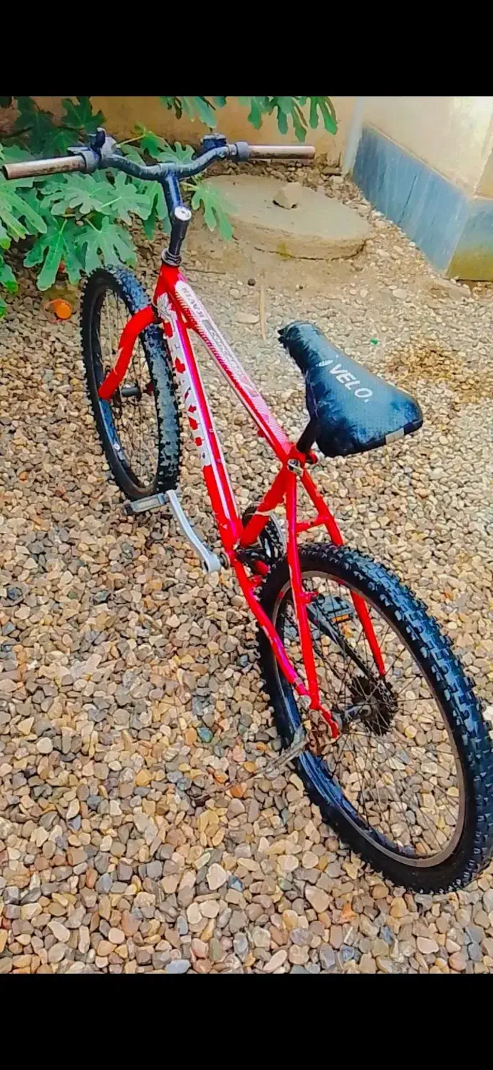 دوچرخه|دوچرخه، اسکیت، اسکوتر|گنبد کاووس, |دیوار