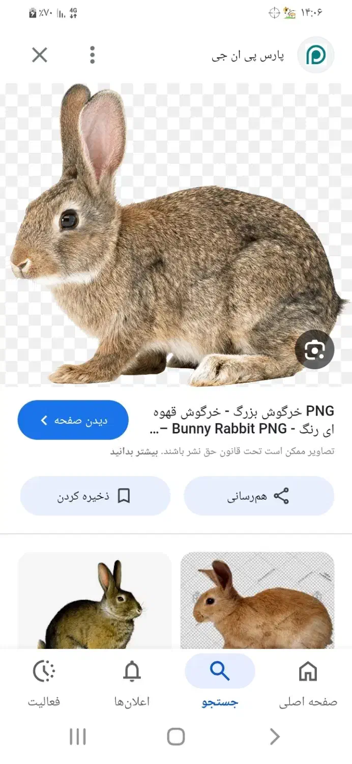 واگزاری|موش و خرگوش|چنارود, |دیوار