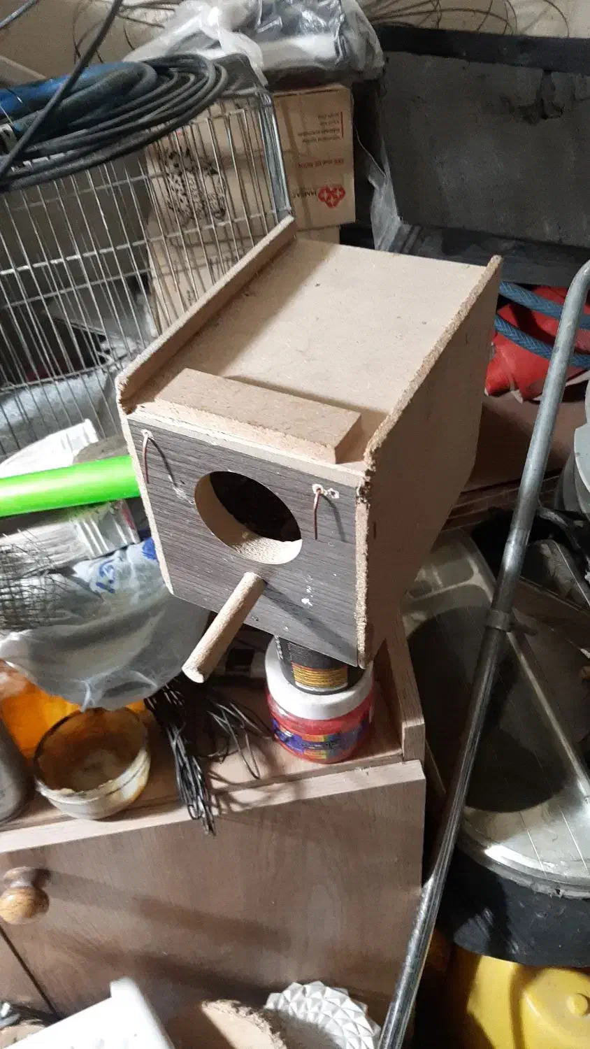 لونه‌عروس‌هلندی‌و‌کوتوله‌برزیلی‌‌قفس‌قناری|لوازم جانبی حیوانات|اصفهان, باغ زرشک|دیوار