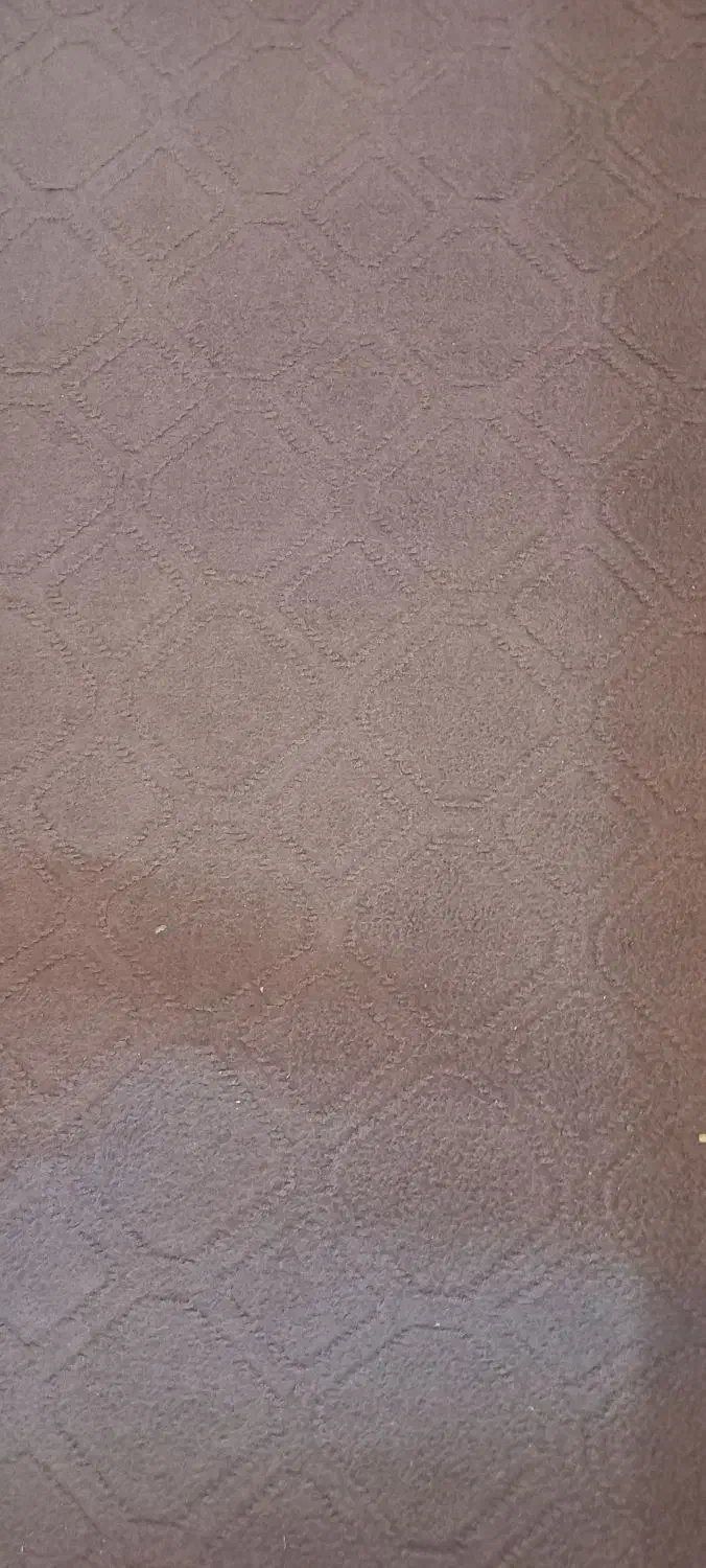 موکت کالباسی تیره|موکت|الیگودرز, |دیوار