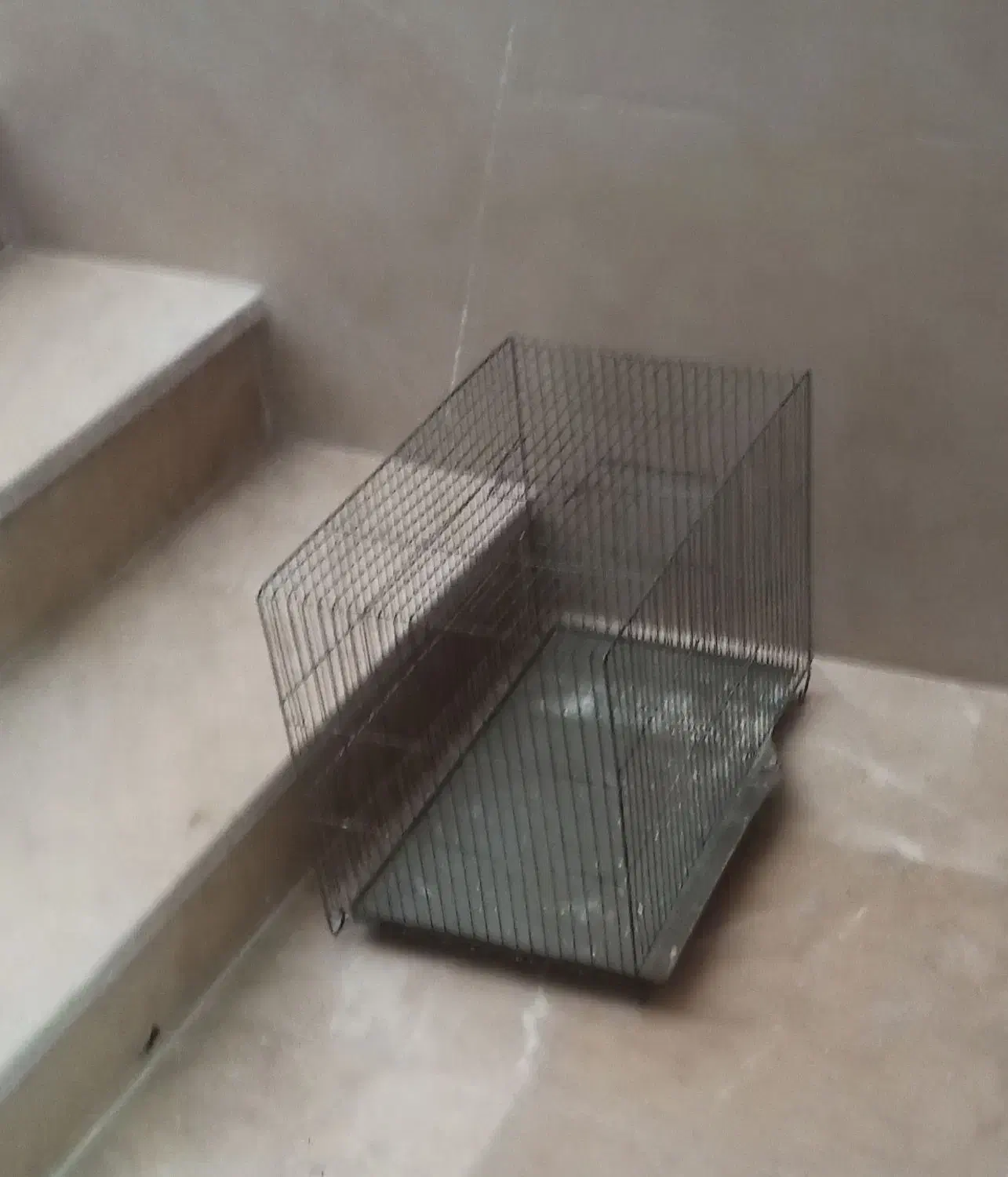 قفس|لوازم جانبی حیوانات|قم, یزدان‌شهر|دیوار