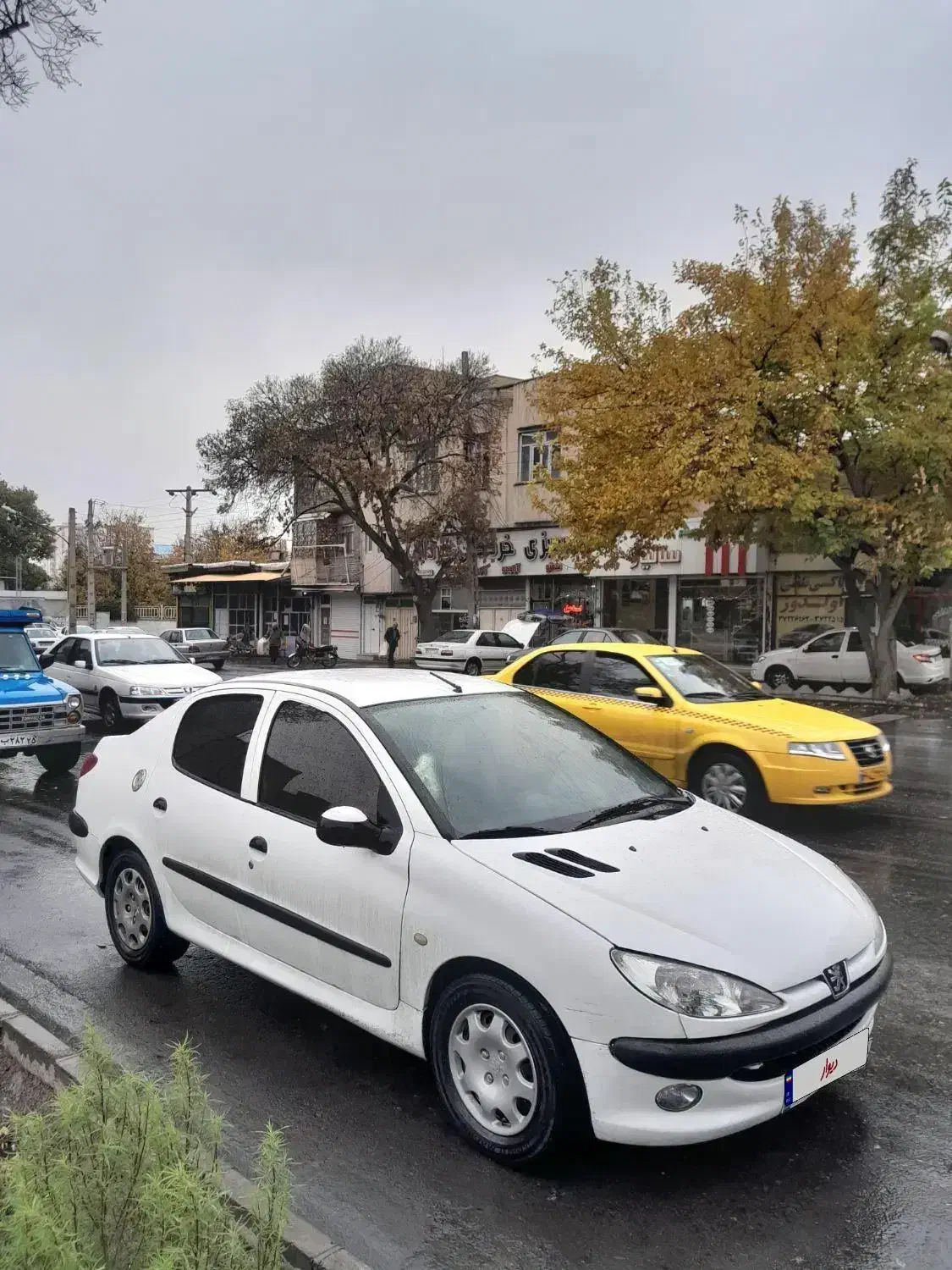 پژو 206 sd مدل 91 سفارشی کروز دار|خودرو سواری و وانت|مراغه, |دیوار