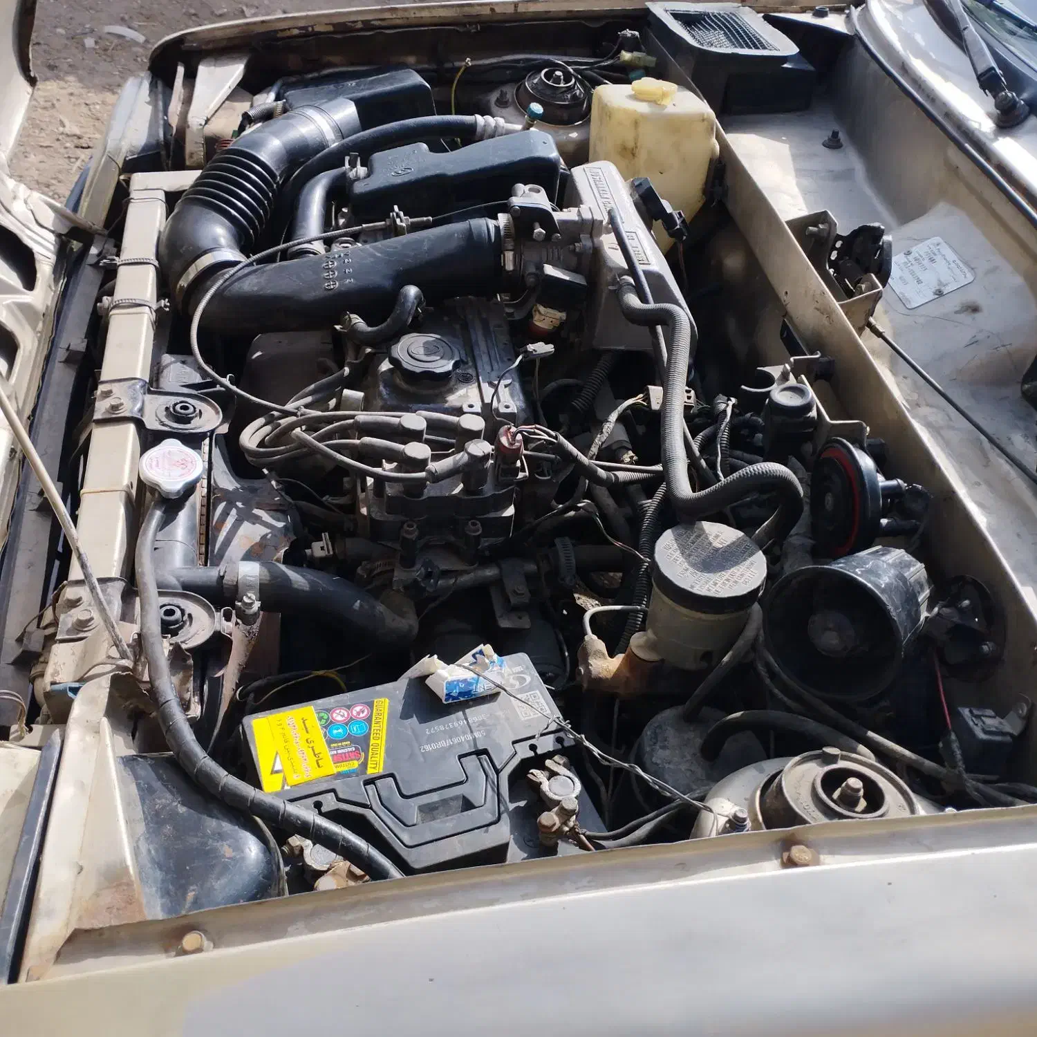 ماشین نیوپیکی تمیزکارمندی است شرط کارشناس خودتون|خودرو سواری و وانت|فریمان, |دیوار