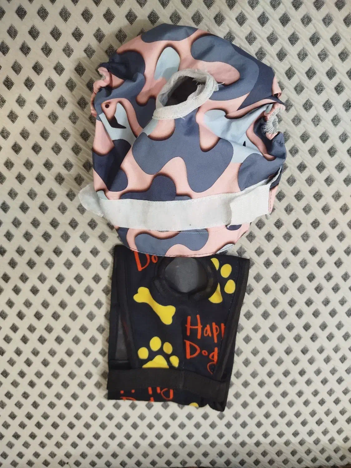 لباس زمستونی وتشک|لوازم جانبی حیوانات|مشهد, نوید|دیوار