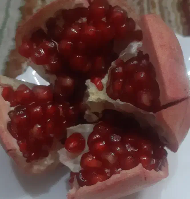 انار رباب|خوردنی و آشامیدنی|شیراز, نصر|دیوار