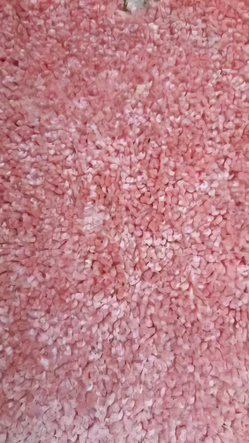 پالاز موکت ۳/۹۰×۲/۹۰|موکت|سنندج, |دیوار