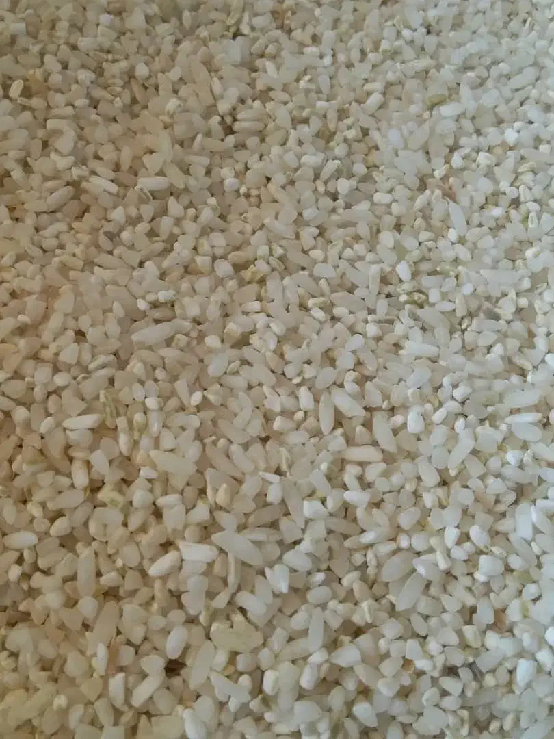 برنج کامفیروزی اصل برداشت امسال|خوردنی و آشامیدنی|شیراز, جمال آباد|دیوار