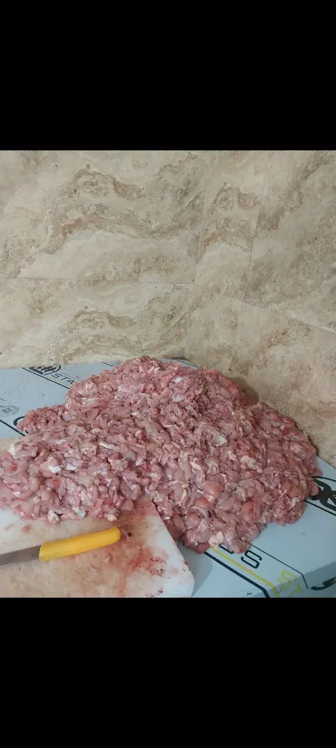 گوشواره مرغ خورده مرغ|خوردنی و آشامیدنی|حبیب آباد, |دیوار