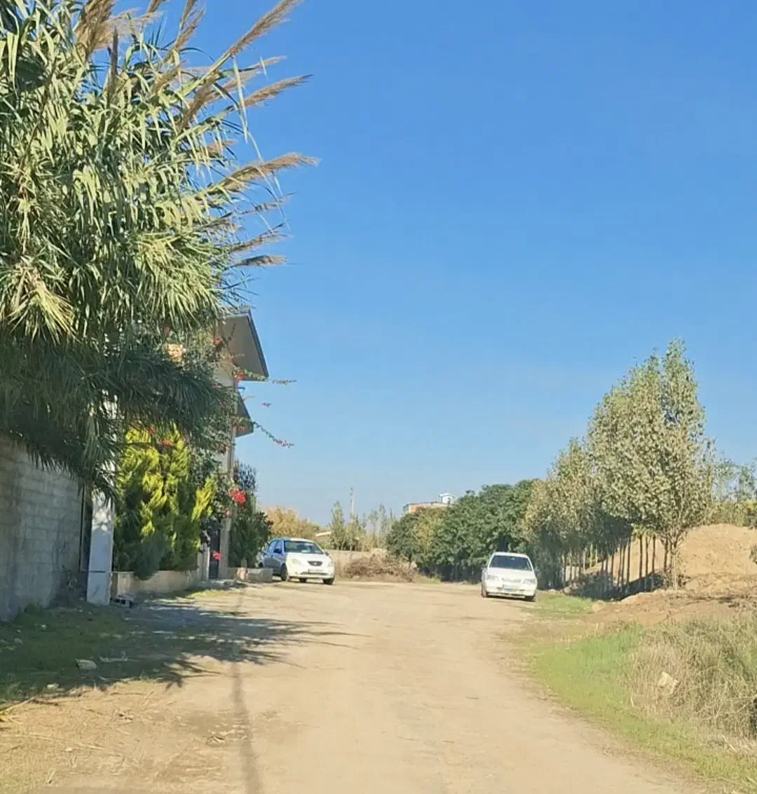 هادی شهر 250متر مسکونی شهری تفکیکی و سند و پروانه|فروش زمین و ملک کلنگی|هادی شهر, |دیوار