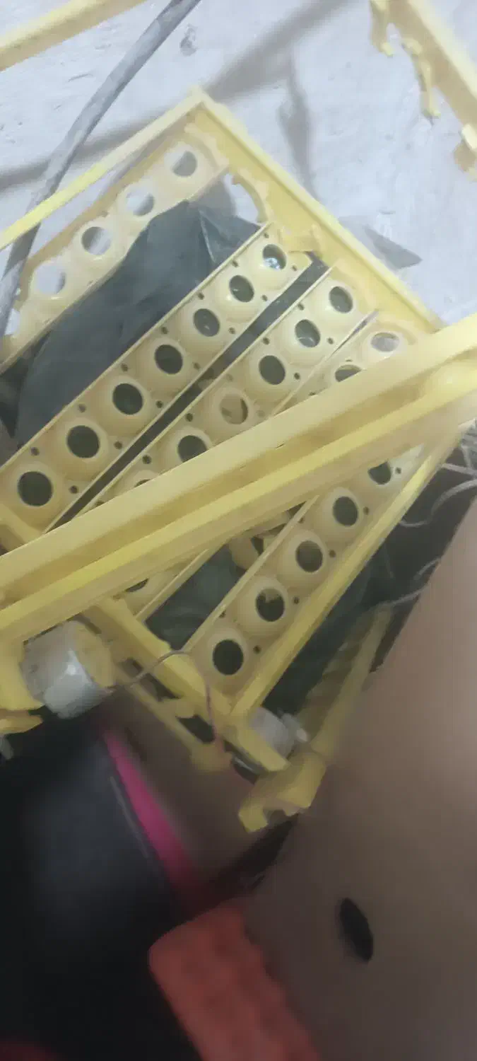 دستگاه جوجه کشی کاکس تمام اتوماتیک|لوازم جانبی حیوانات|اردبیل, |دیوار