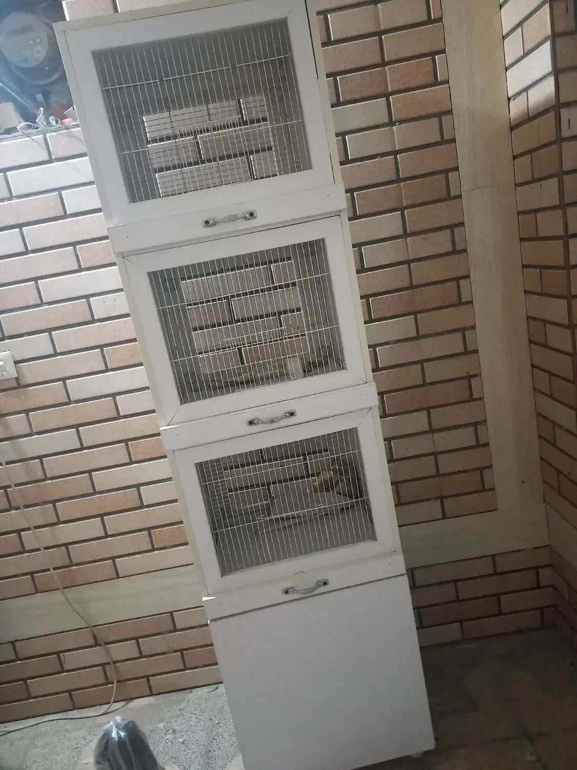 قفس ۴طبقه‌ای|لوازم جانبی حیوانات|میبد, |دیوار