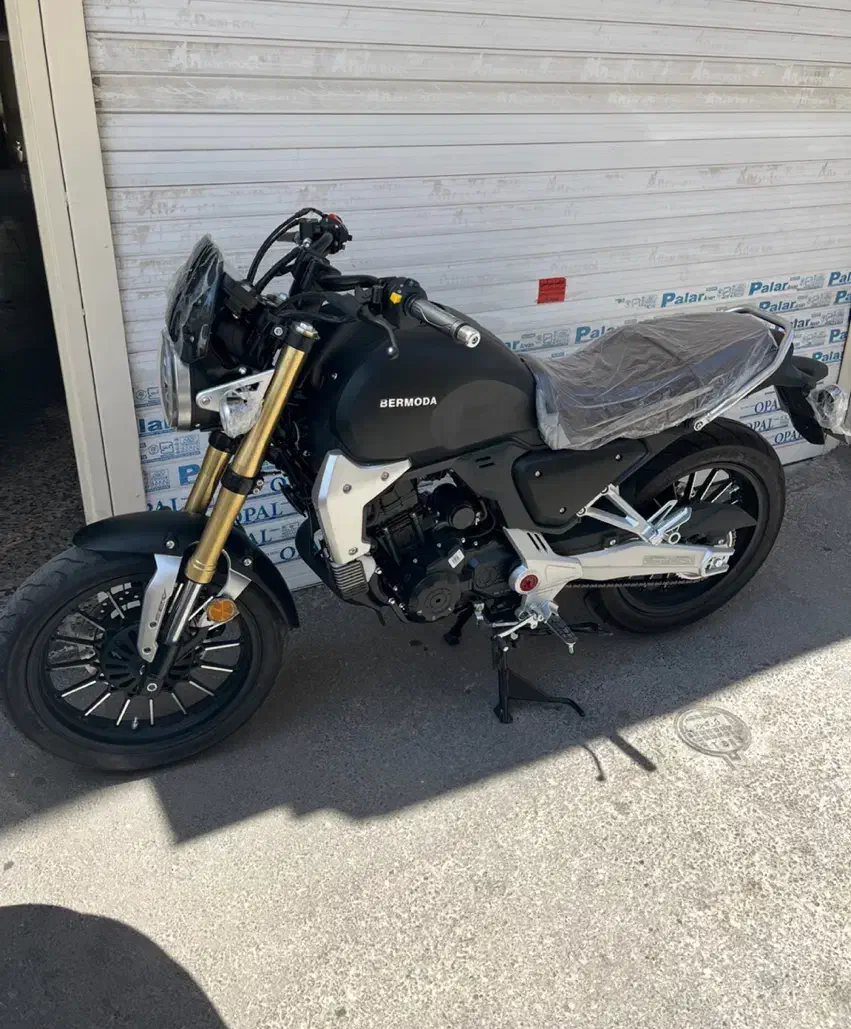 موتور سیکلت ۲۵۰ برمودا|موتورسیکلت|شیراز, حافظیه|دیوار