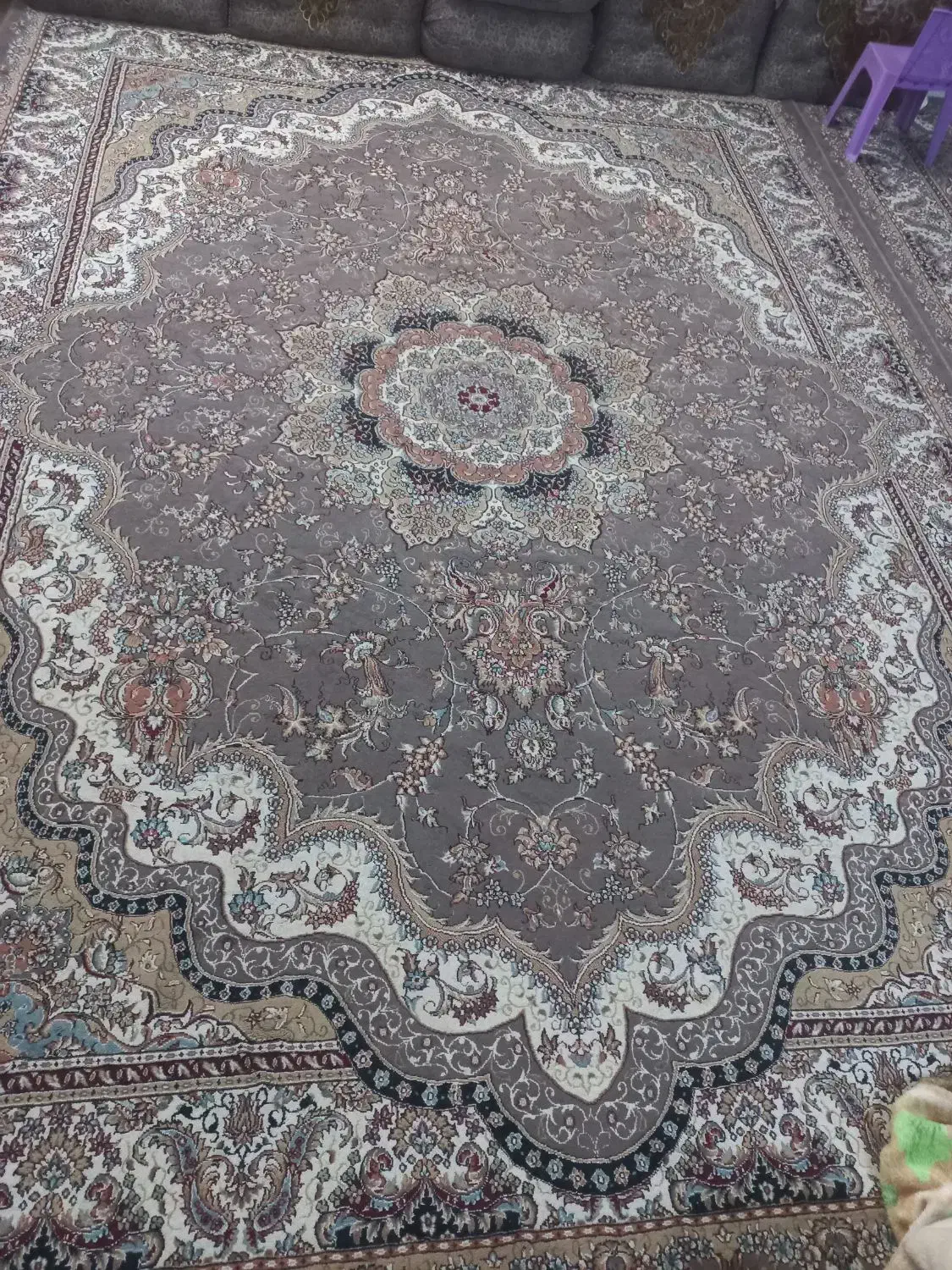 قالی ۱۲متری|فرش|اشکذر, |دیوار