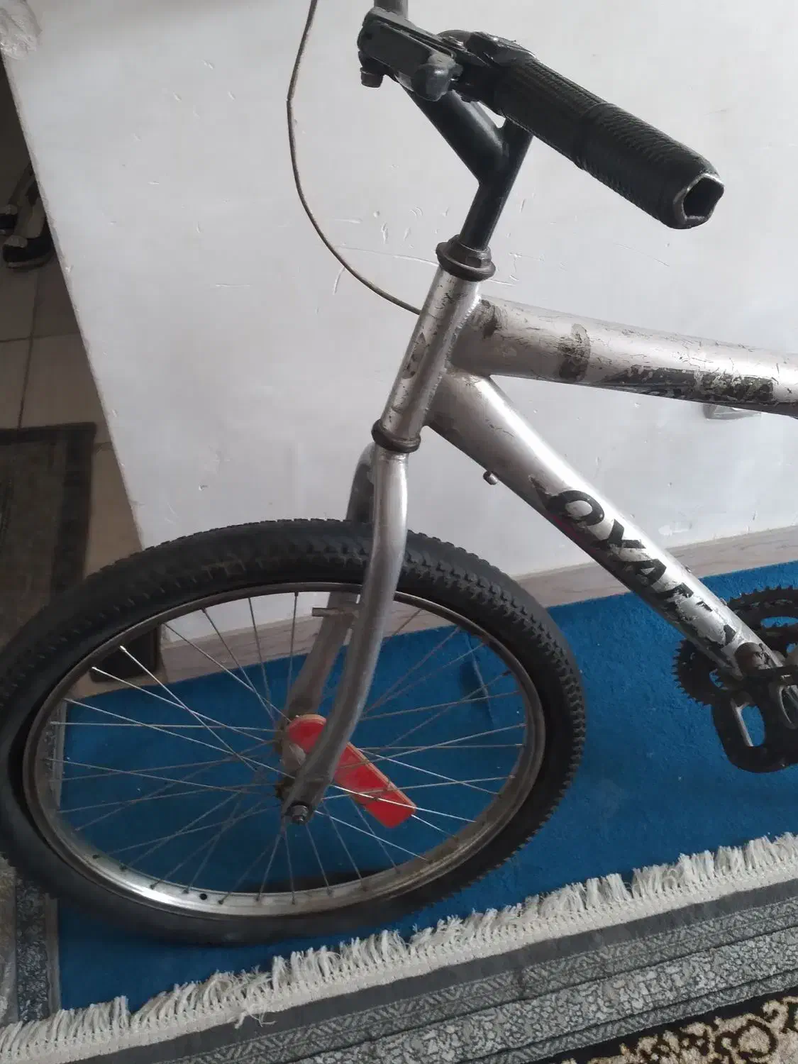 ۲ عدد دوچرخه|دوچرخه، اسکیت، اسکوتر|فولادشهر, مسکن مهر فولادشهر|دیوار