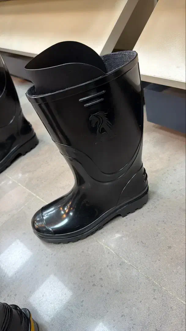 چکمه|کیف، کفش، کمربند|بانه, |دیوار